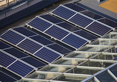 Green Upgrades & Property Risk: What Investors Need to Know